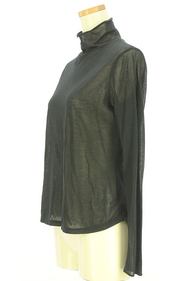 クリックで大画像表示 DRESSTERIOR(ドレステリア)の古着「ハイネックシアーニットトップス(カットソー・プルオーバー)」大画像3へ