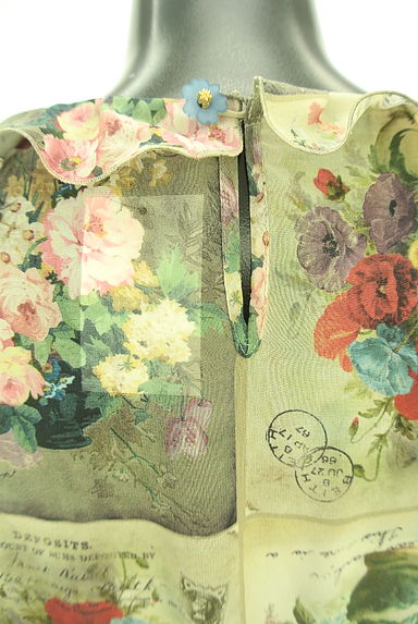 クリックで大画像表示 Lois CRAYON(ロイスクレヨン)の古着「花柄シフォンワンピース(ワンピース・チュニック)」大画像5へ