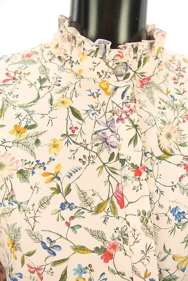 クリックで大画像表示 Lois CRAYON(ロイスクレヨン)の古着「花柄シフォンブラウス(カットソー・プルオーバー)」大画像4へ