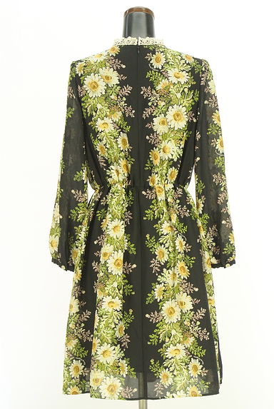 クリックで大画像表示 Lois CRAYON(ロイスクレヨン)の古着「花柄シフォンワンピース(ワンピース・チュニック)」大画像2へ