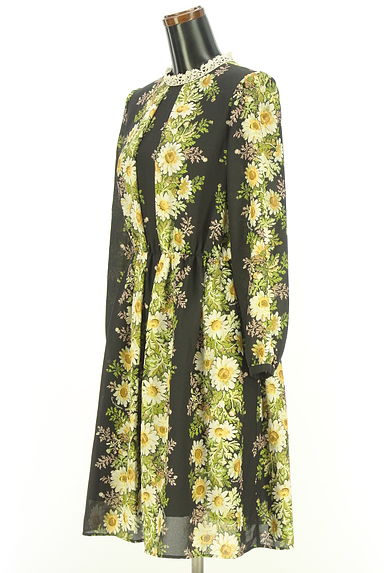 クリックで大画像表示 Lois CRAYON(ロイスクレヨン)の古着「花柄シフォンワンピース(ワンピース・チュニック)」大画像3へ