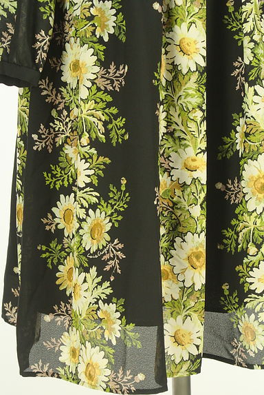 クリックで大画像表示 Lois CRAYON(ロイスクレヨン)の古着「花柄シフォンワンピース(ワンピース・チュニック)」大画像5へ
