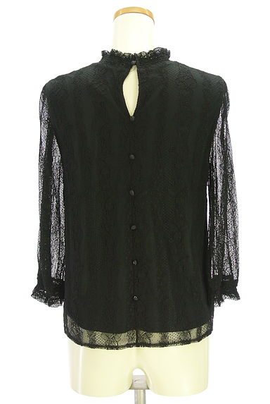 LAISSE PASSE（レッセパッセ）の古着「8分袖総レースブラウス（カットソー・プルオーバー）」大画像２へ