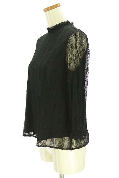 LAISSE PASSE（レッセパッセ）の古着「8分袖総レースブラウス（カットソー・プルオーバー）」大画像３へ