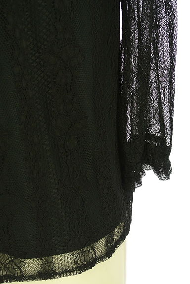 LAISSE PASSE（レッセパッセ）の古着「8分袖総レースブラウス（カットソー・プルオーバー）」大画像５へ