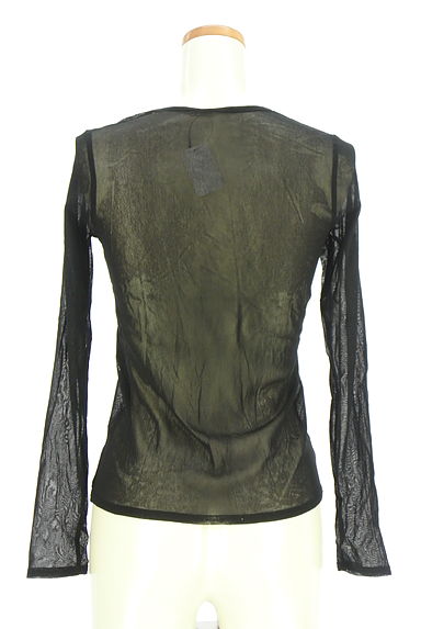 HIROKO BIS（ヒロコビス）の古着「esseNtieL HIROKO BIS シアーカットソー（カットソー・プルオーバー）」大画像２へ