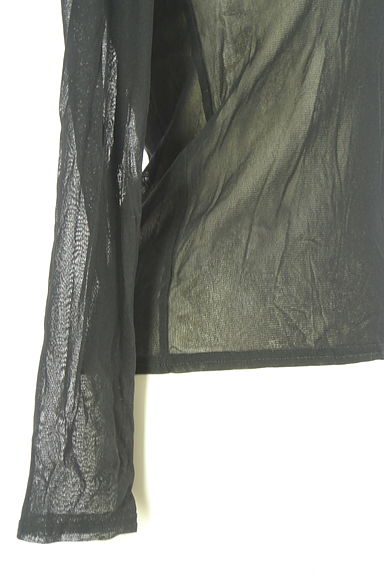 HIROKO BIS（ヒロコビス）の古着「esseNtieL HIROKO BIS シアーカットソー（カットソー・プルオーバー）」大画像５へ