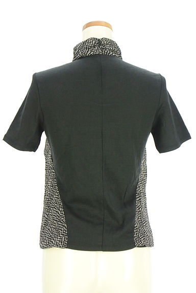 HIROKO BIS（ヒロコビス）の古着「ハイネックカットソー（カットソー・プルオーバー）」大画像２へ