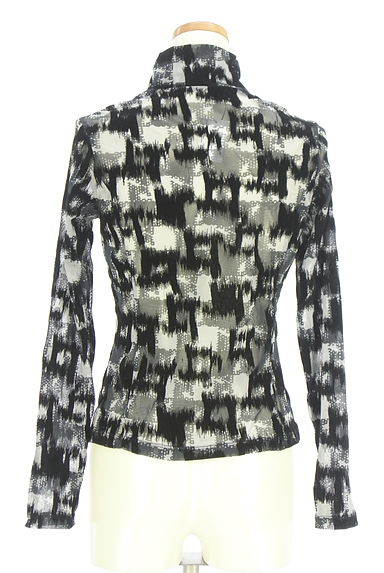 HIROKO BIS（ヒロコビス）の古着「ハイネックシースルーカットソー（カットソー・プルオーバー）」大画像２へ