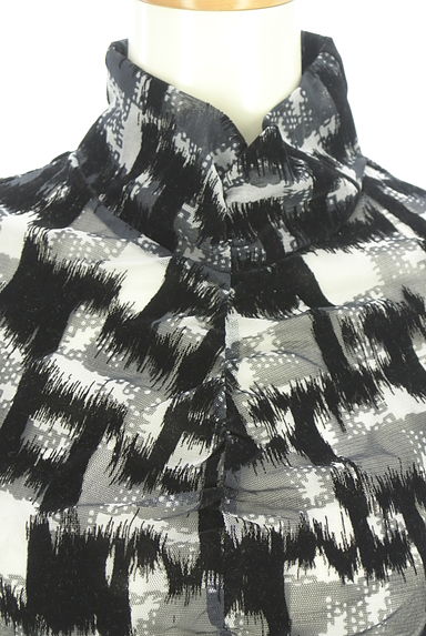 HIROKO BIS（ヒロコビス）の古着「ハイネックシースルーカットソー（カットソー・プルオーバー）」大画像４へ