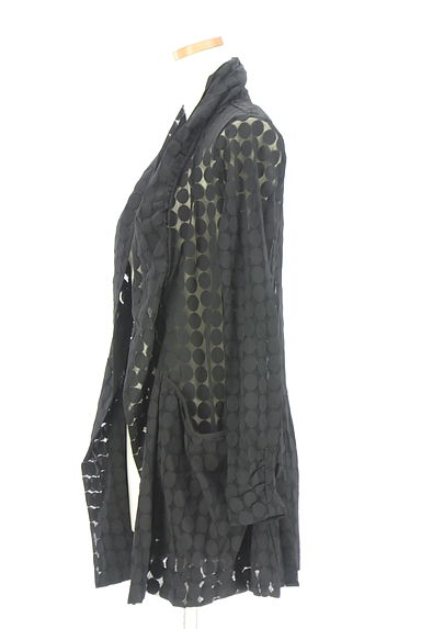 クリックで大画像表示 HIROKO BIS(ヒロコビス)の古着「シースルードットミドルカーディガン(カーディガン・ボレロ)」大画像3へ