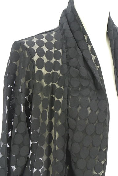 クリックで大画像表示 HIROKO BIS(ヒロコビス)の古着「シースルードットミドルカーディガン(カーディガン・ボレロ)」大画像4へ