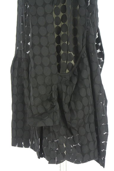 クリックで大画像表示 HIROKO BIS(ヒロコビス)の古着「シースルードットミドルカーディガン(カーディガン・ボレロ)」大画像5へ