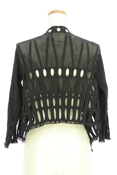 クリックで大画像表示 HIROKO BIS(ヒロコビス)の古着「カット×メッシュカーディガン(カーディガン・ボレロ)」大画像2へ