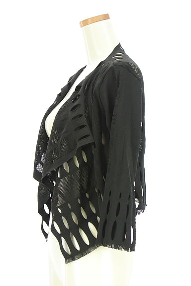 クリックで大画像表示 HIROKO BIS(ヒロコビス)の古着「カット×メッシュカーディガン(カーディガン・ボレロ)」大画像3へ