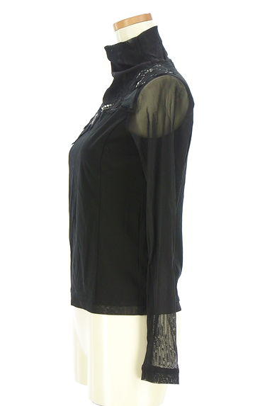 HIROKO BIS（ヒロコビス）の古着「チュール切替ハイネックプルオーバー（カットソー・プルオーバー）」大画像３へ