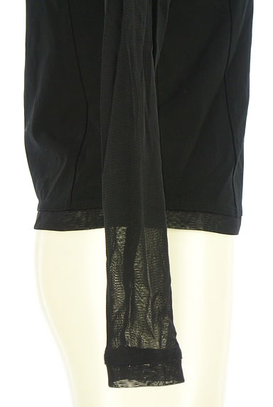 HIROKO BIS（ヒロコビス）の古着「チュール切替ハイネックプルオーバー（カットソー・プルオーバー）」大画像５へ