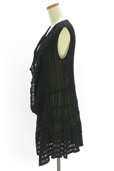 HIROKO BIS（ヒロコビス）の古着「esseNtieL HIROKO BIS 透かし編みニットジレ（カーディガン・ボレロ）」大画像３へ