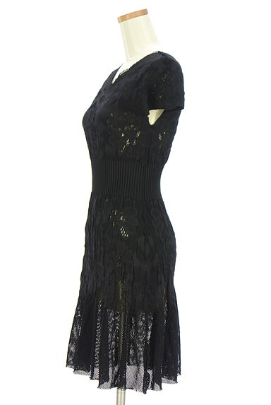 HIROKO BIS（ヒロコビス）の古着「+RICO HIROKO BIS メッシュニット膝丈ワンピース（ワンピース・チュニック）」大画像３へ