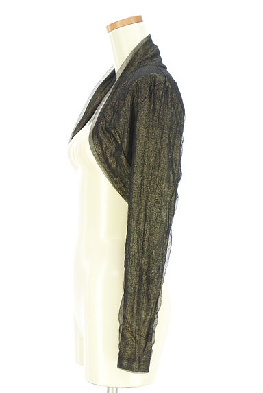 HIROKO KOSHINO（ヒロココシノ）の古着「ラメメッシュショートボレロ（カーディガン・ボレロ）」大画像３へ