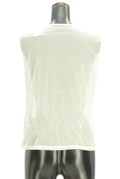 HIROKO BIS（ヒロコビス）の古着「レース風ジャガードシアーカットソー（カットソー・プルオーバー）」大画像２へ