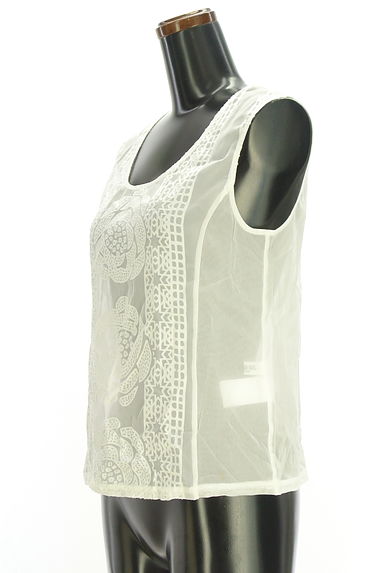 HIROKO BIS（ヒロコビス）の古着「レース風ジャガードシアーカットソー（カットソー・プルオーバー）」大画像３へ