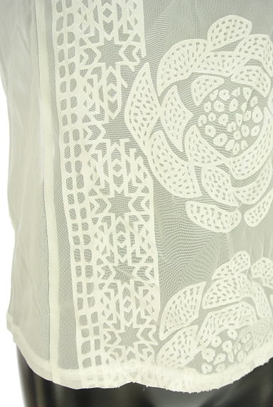 HIROKO BIS（ヒロコビス）の古着「レース風ジャガードシアーカットソー（カットソー・プルオーバー）」大画像５へ