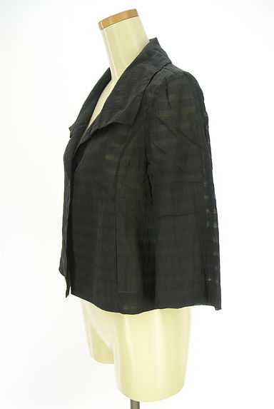 HIROKO BIS（ヒロコビス）の古着「7分袖シアーボーダージャケット（ジャケット）」大画像３へ