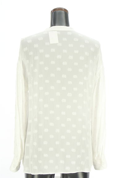 SHIPS（シップス）の古着「花柄刺しゅうノーカラーブラウス（ブラウス）」大画像２へ