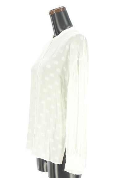 SHIPS（シップス）の古着「花柄刺しゅうノーカラーブラウス（ブラウス）」大画像３へ