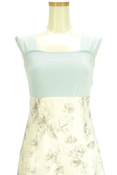 MERCURYDUO（マーキュリーデュオ）の古着「リブニット×花柄シアー切替ノースリワンピース（ワンピース・チュニック）」大画像４へ