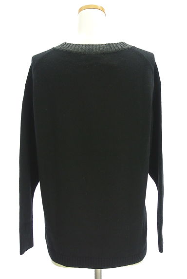 LAUTREAMONT（ロートレアモン）の古着「バイカラーVネックニット（ニット）」大画像２へ