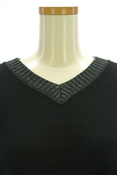 LAUTREAMONT（ロートレアモン）の古着「バイカラーVネックニット（ニット）」大画像４へ