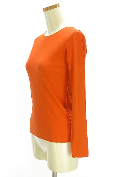 PAL'LAS PALACE（パラスパレス）の古着「ストレッチシアーカットソー（カットソー・プルオーバー）」大画像３へ