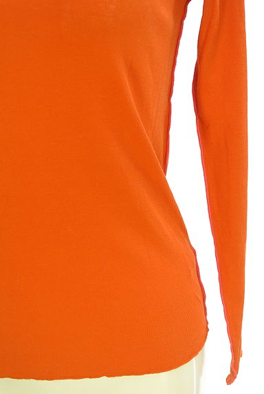 PAL'LAS PALACE（パラスパレス）の古着「ストレッチシアーカットソー（カットソー・プルオーバー）」大画像４へ