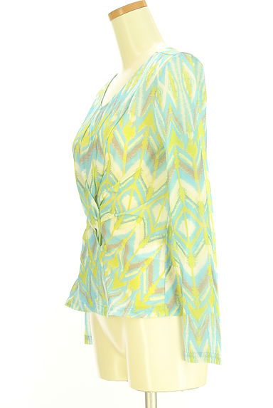 クリックで大画像表示 HIROKO BIS(ヒロコビス)の古着「ツイストシアーカットソー(カットソー・プルオーバー)」大画像3へ