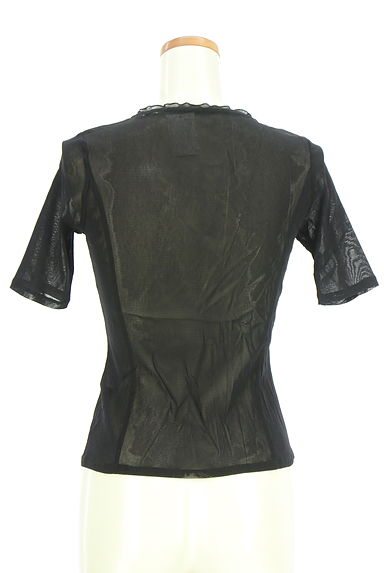 クリックで大画像表示 HIROKO BIS(ヒロコビス)の古着「リーフモチーフシアーカットソー(カットソー・プルオーバー)」大画像2へ