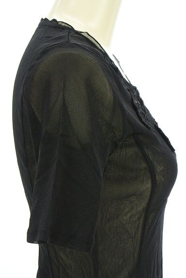 クリックで大画像表示 HIROKO BIS(ヒロコビス)の古着「リーフモチーフシアーカットソー(カットソー・プルオーバー)」大画像5へ