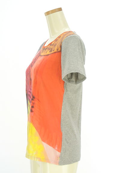 クリックで大画像表示 HIROKO KOSHINO(ヒロココシノ)の古着「チュールネックプリントTシャツ(カットソー・プルオーバー)」大画像3へ