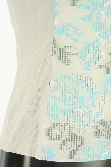 HIROKO BIS（ヒロコビス）の古着「刺繍タンクトップ（カットソー・プルオーバー）」大画像５へ