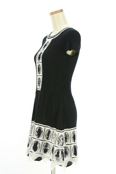 HIROKO BIS（ヒロコビス）の古着「モノトーン膝上ニットワンピース（ワンピース・チュニック）」大画像３へ