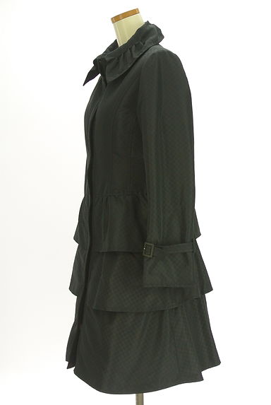 クリックで大画像表示 HIROKO BIS(ヒロコビス)の古着「ティアードフレア中綿ロングコート(コート)」大画像3へ