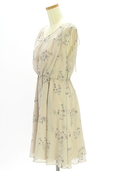 JILL by JILLSTUART（ジルバイジルスチュアート）の古着「ノースリ花柄シフォンワンピース（ワンピース・チュニック）」大画像３へ