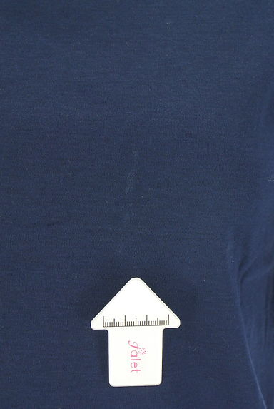 JILL by JILLSTUART（ジルバイジルスチュアート）の古着「パフスリーブ別地切替半そでカットソー（カットソー・プルオーバー）」大画像５へ