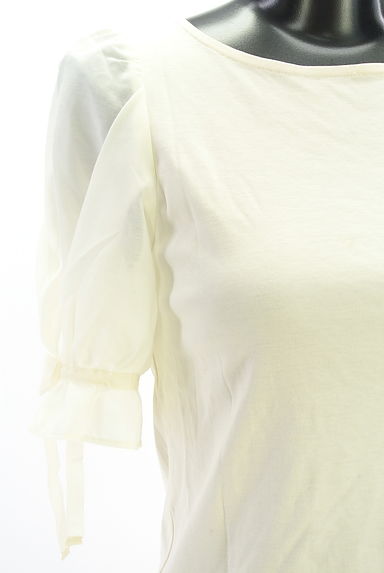 クリックで大画像表示 JILL by JILLSTUART(ジルバイジルスチュアート)の古着「シアーパフスリカットソー(カットソー・プルオーバー)」大画像4へ