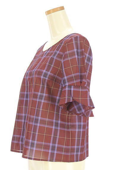 JILL by JILLSTUART（ジルバイジルスチュアート）の古着「Vネック半袖チェック柄カットソー（カットソー・プルオーバー）」大画像３へ