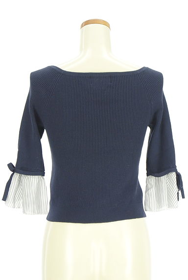 JILL by JILLSTUART（ジルバイジルスチュアート）の古着「袖ストライプ切替Vネックリブニットトップス（ニット）」大画像２へ