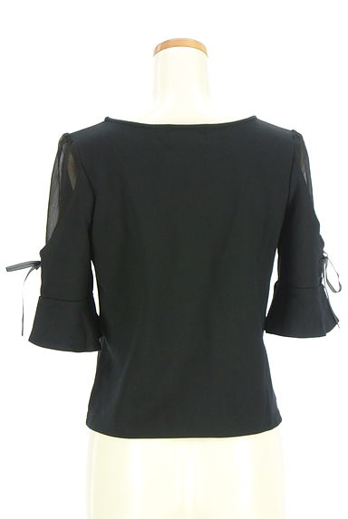 JILL by JILLSTUART（ジルバイジルスチュアート）の古着「袖シフォン切替6分袖カットソー（カットソー・プルオーバー）」大画像２へ