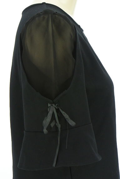JILL by JILLSTUART（ジルバイジルスチュアート）の古着「袖シフォン切替6分袖カットソー（カットソー・プルオーバー）」大画像４へ