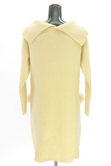 JILL by JILLSTUART（ジルバイジルスチュアート）の古着「ファー付きポケット膝上ニットワンピース（ワンピース・チュニック）」大画像２へ